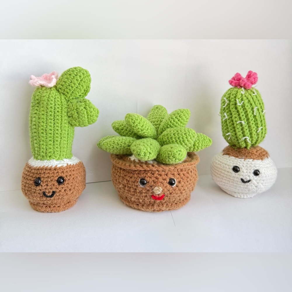 Handmade Crochet Cactus and Succulent Set